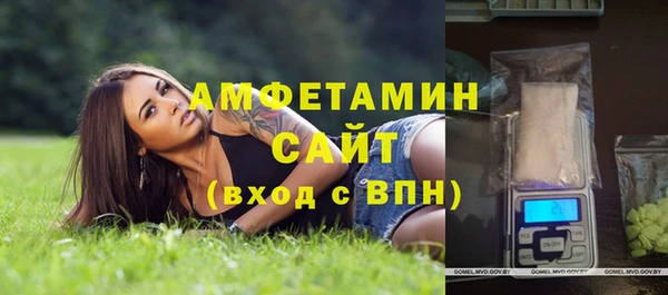 гидра Бородино