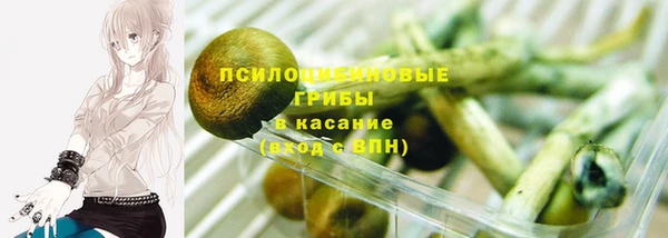 таблы Богородицк