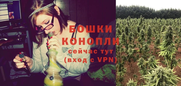 таблы Богородицк