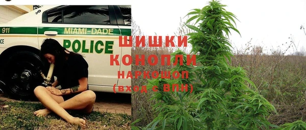 таблы Богородицк