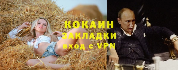 прущие грибы Бугульма