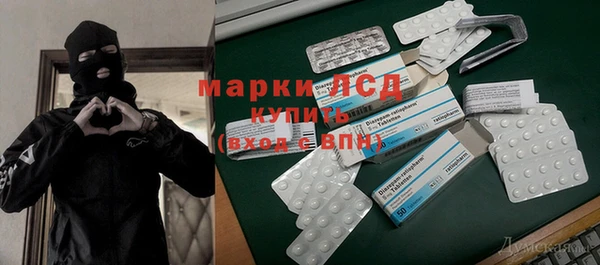гидра Бородино